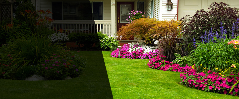 Santa Teresa Landscapers