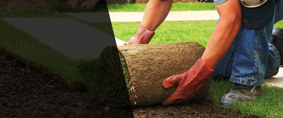 Santa Teresa Landscapers